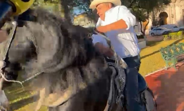 Caballo se desploma durante entrevista de Alfredo Lozoya frente a Palacio de Gobierno