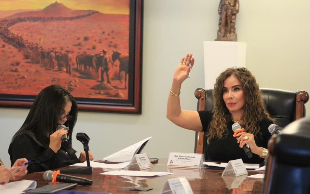 Pide diputada se les exente de pagos residentes, Juárez- El Paso