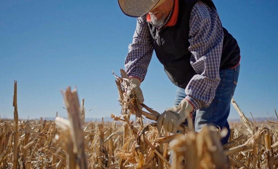 Habrá  paro nacional en carreteras y Aduanas