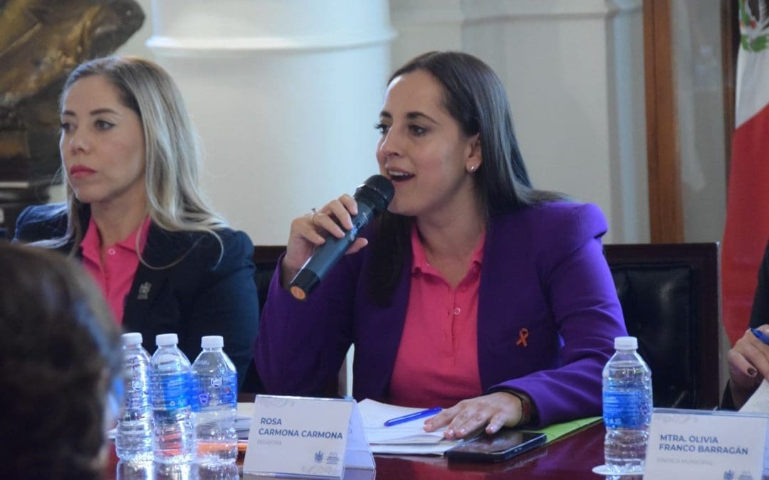 Rosy Carmona en Cabildo: “El agua no se vende ni se negocia”