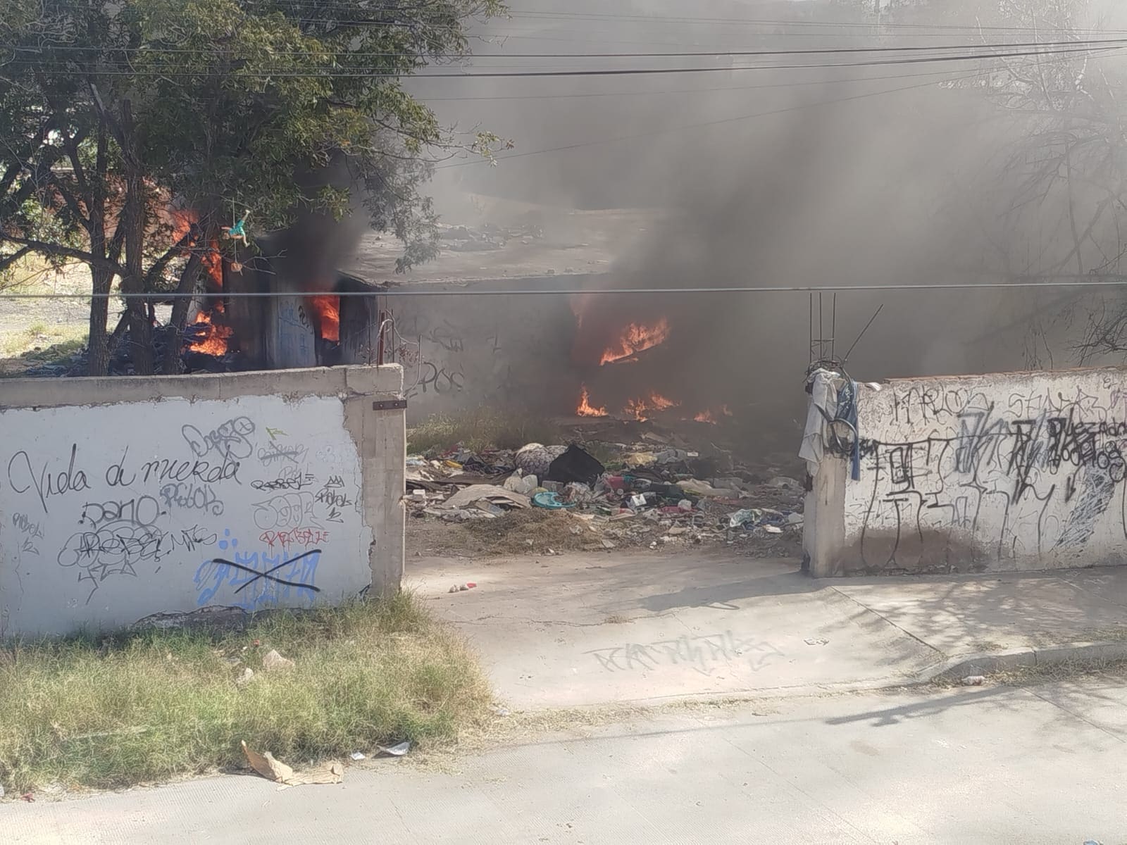 WhatsApp Image 2025-11-02 at 2.13.13 PM (2)