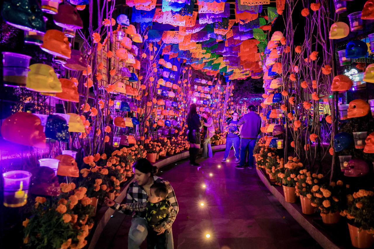 WhatsApp Image 2025-11-03 at 7.59.20 AM