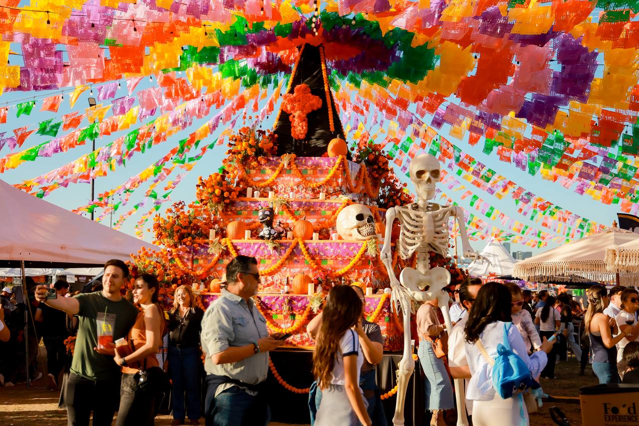 WhatsApp Image 2025-11-10 at 10.44.54 AM