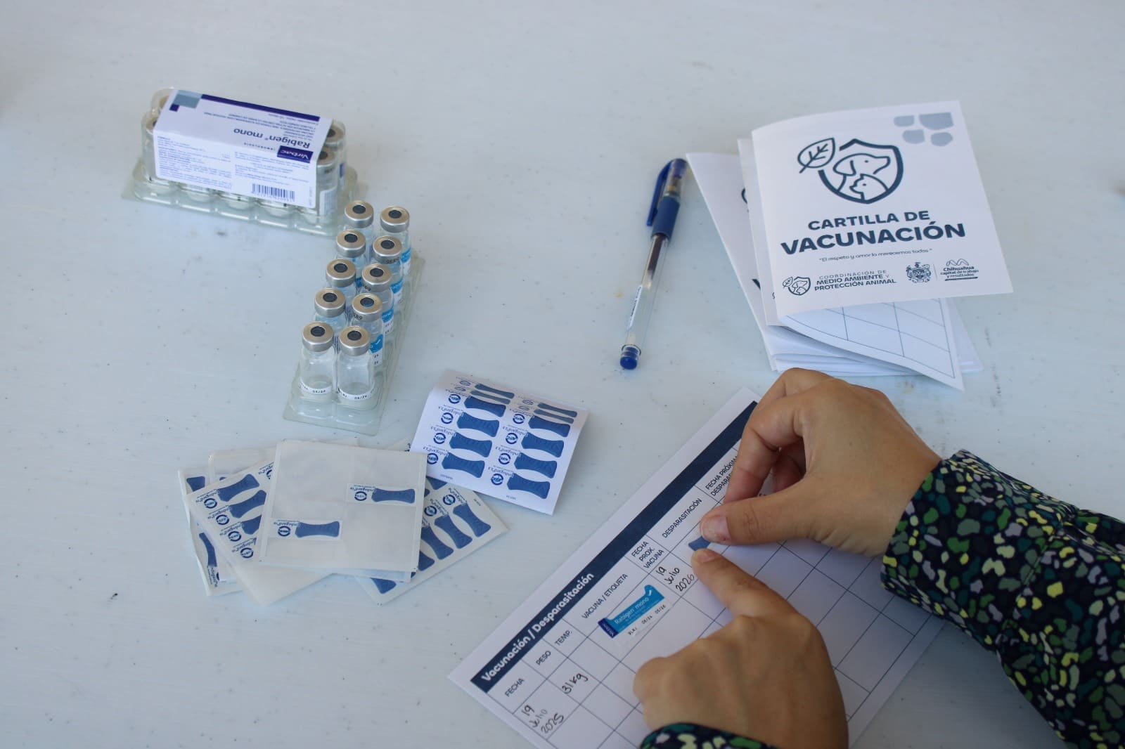 WhatsApp Image 2025-11-13 at 12.27.20 PM