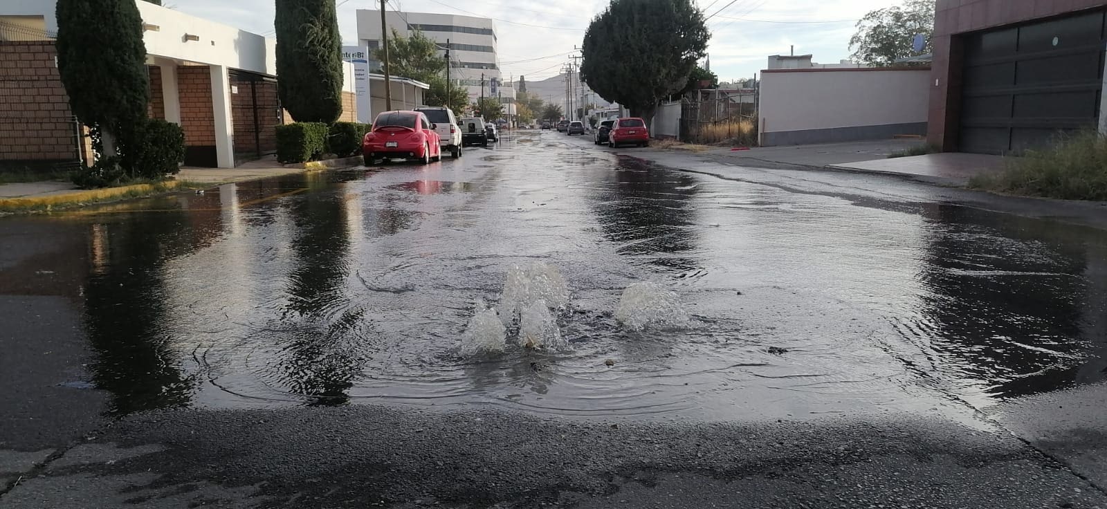 WhatsApp Image 2025-11-18 at 9.15.20 AM