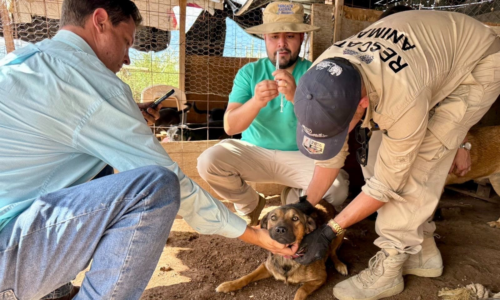 WhatsApp Image 2025-11-20 at 11.31.28 AM