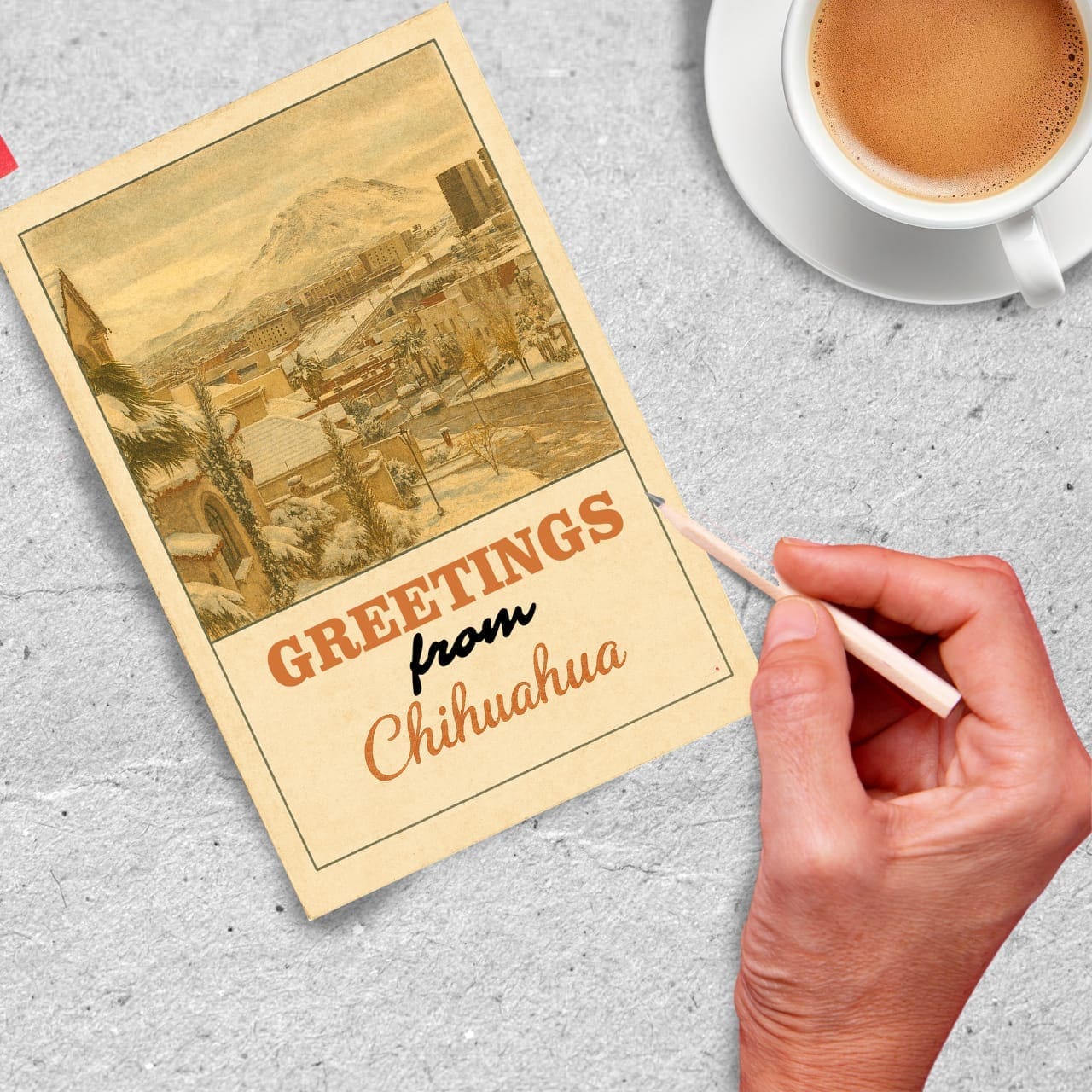 WhatsApp Image 2025-11-20 at 8.53.25 PM