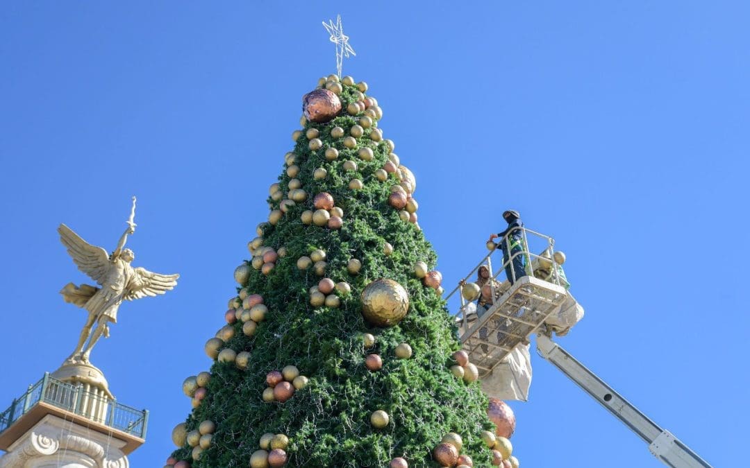 Este lunes encenderán Árbol en «El Ángel»