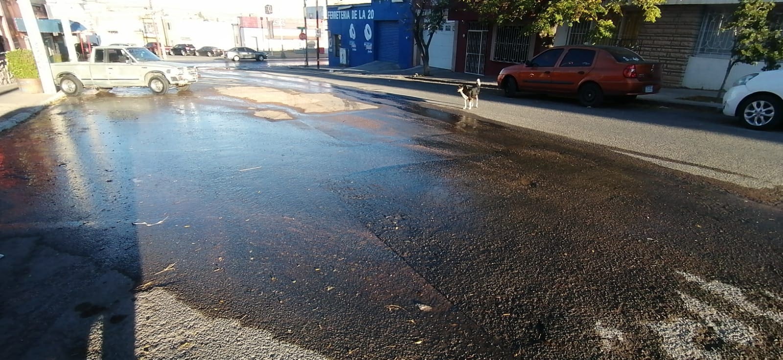 WhatsApp Image 2025-11-24 at 8.32.41 AM