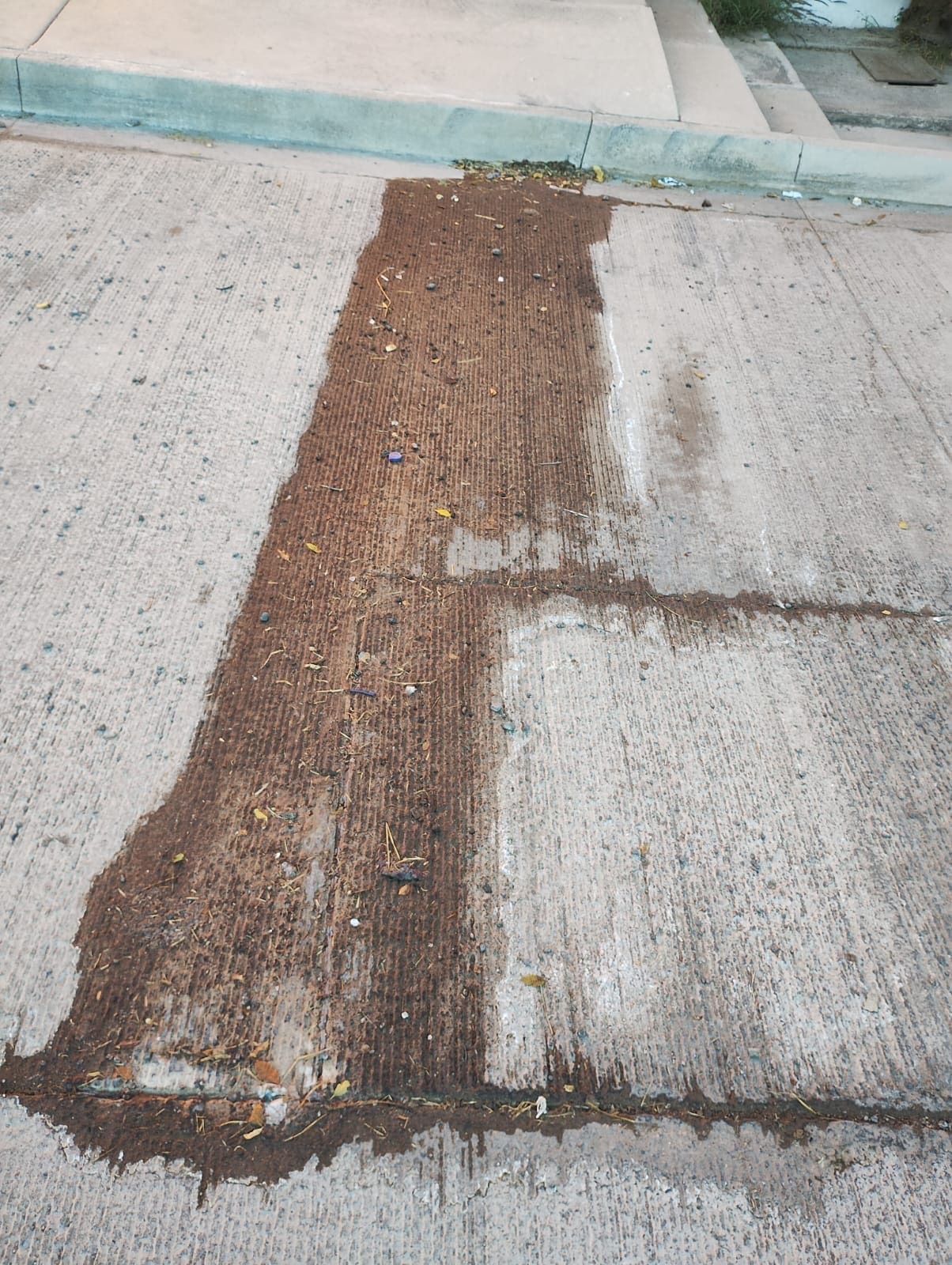 WhatsApp Image 2025-11-25 at 8.30.13 AM