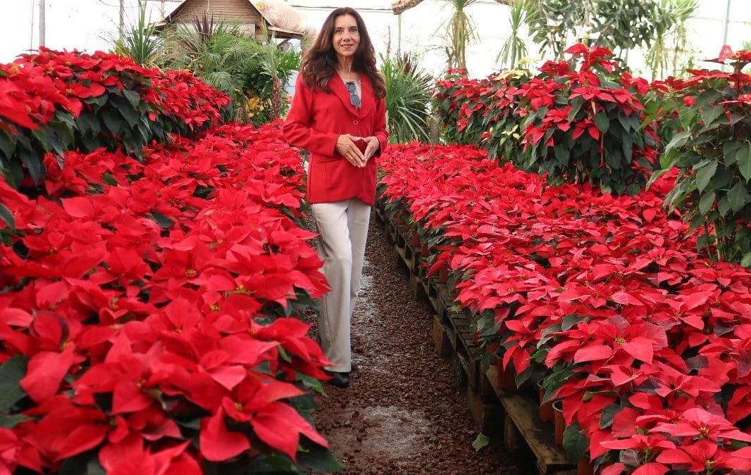 Docente de la UACH explica el simbolismo de la Nochebuena