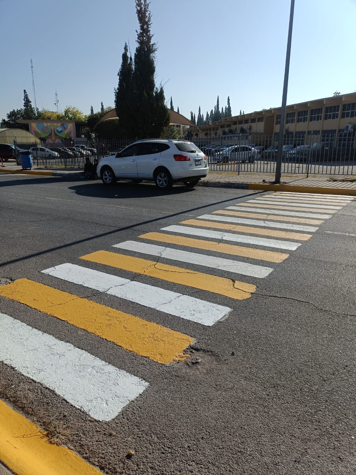 WhatsApp Image 2025-11-28 at 9.00.09 PM