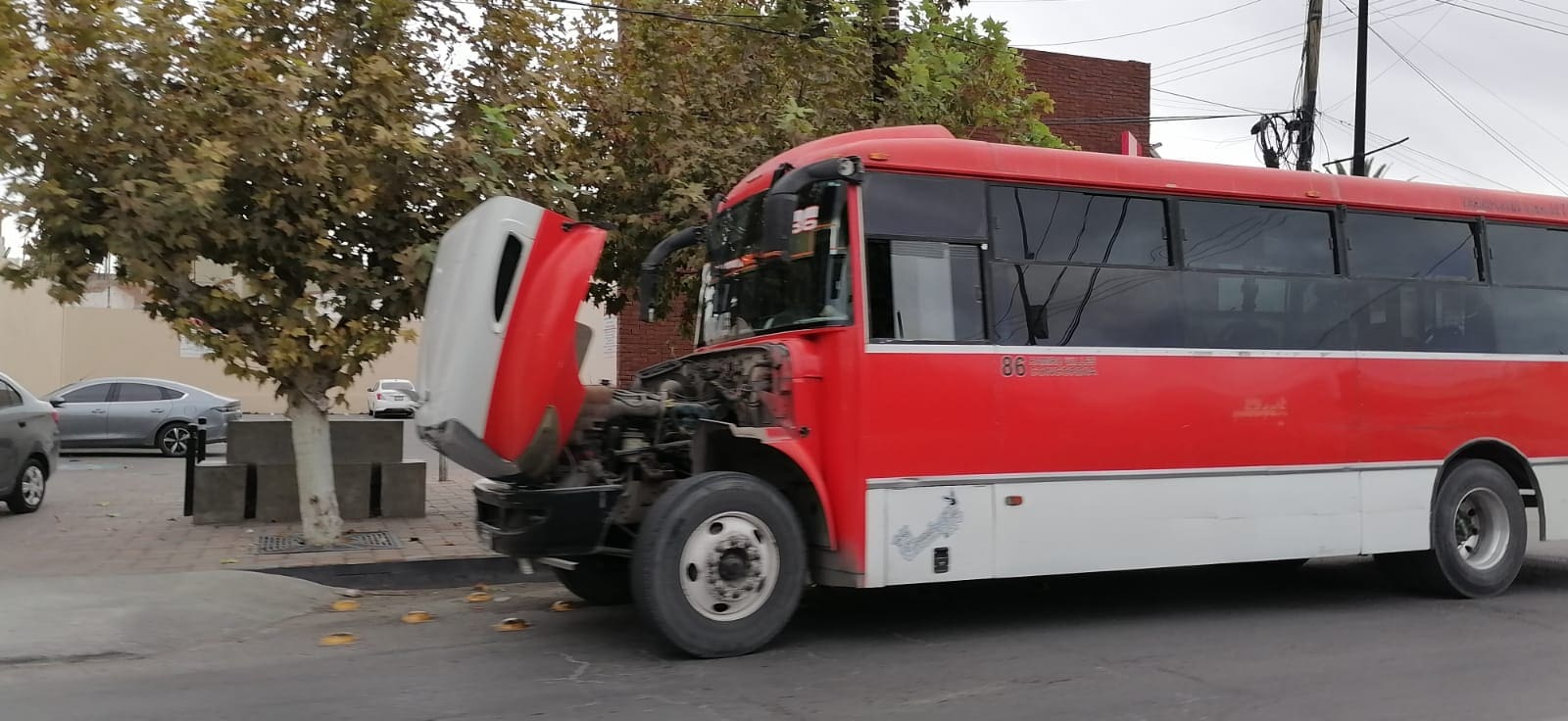 WhatsApp Image 2025-12-05 at 8.49.57 AM