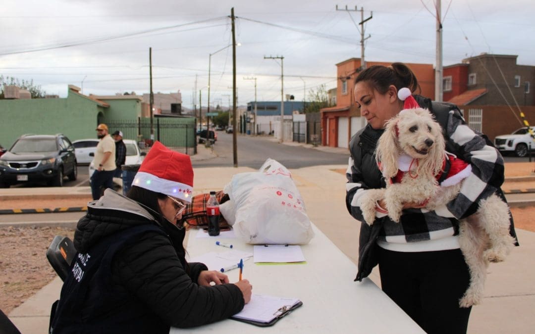 Chihuahuenses dan un nuevo hogar a perritos y gatitos en evento «Navidad de Pelos»