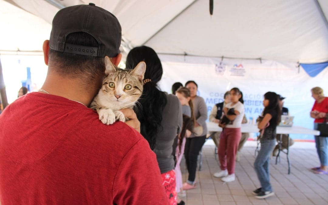 Piden responsabilidad ante regalos de mascotas por navidad