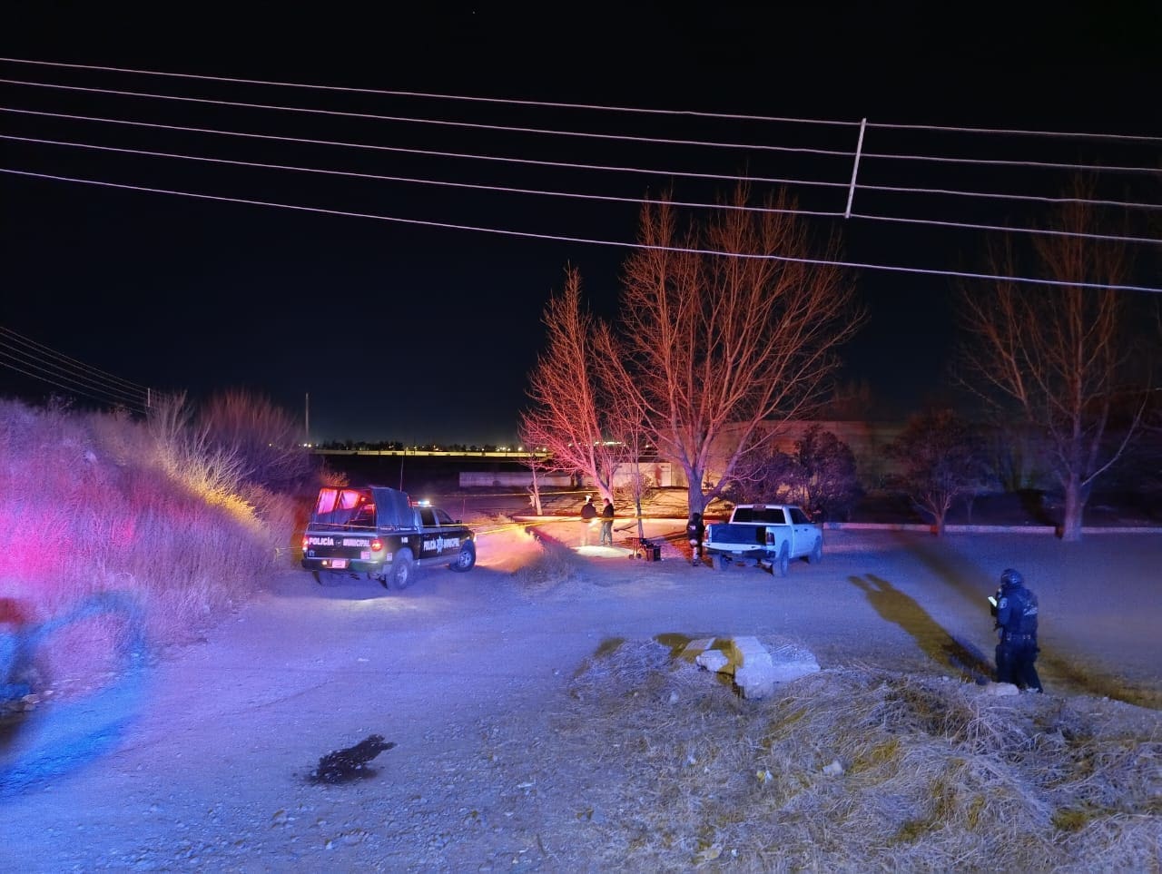 WhatsApp Image 2025-12-20 at 6.17.25 AM