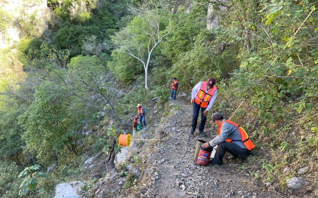 Avanza construcción de caminos en Urique y Chínipas