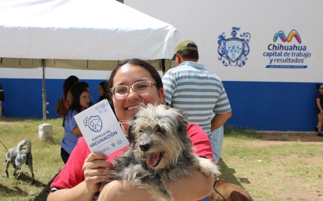 Aplicaron más de 6 mil 600 vacunas y 5 mil desparasitaciones a perros y gatos en 2025