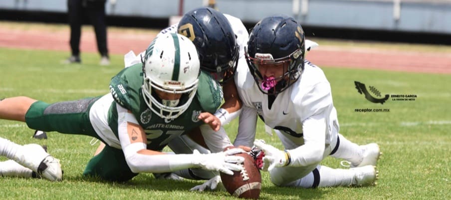 Serán doce equipos los que competirán en la intermedia 2026