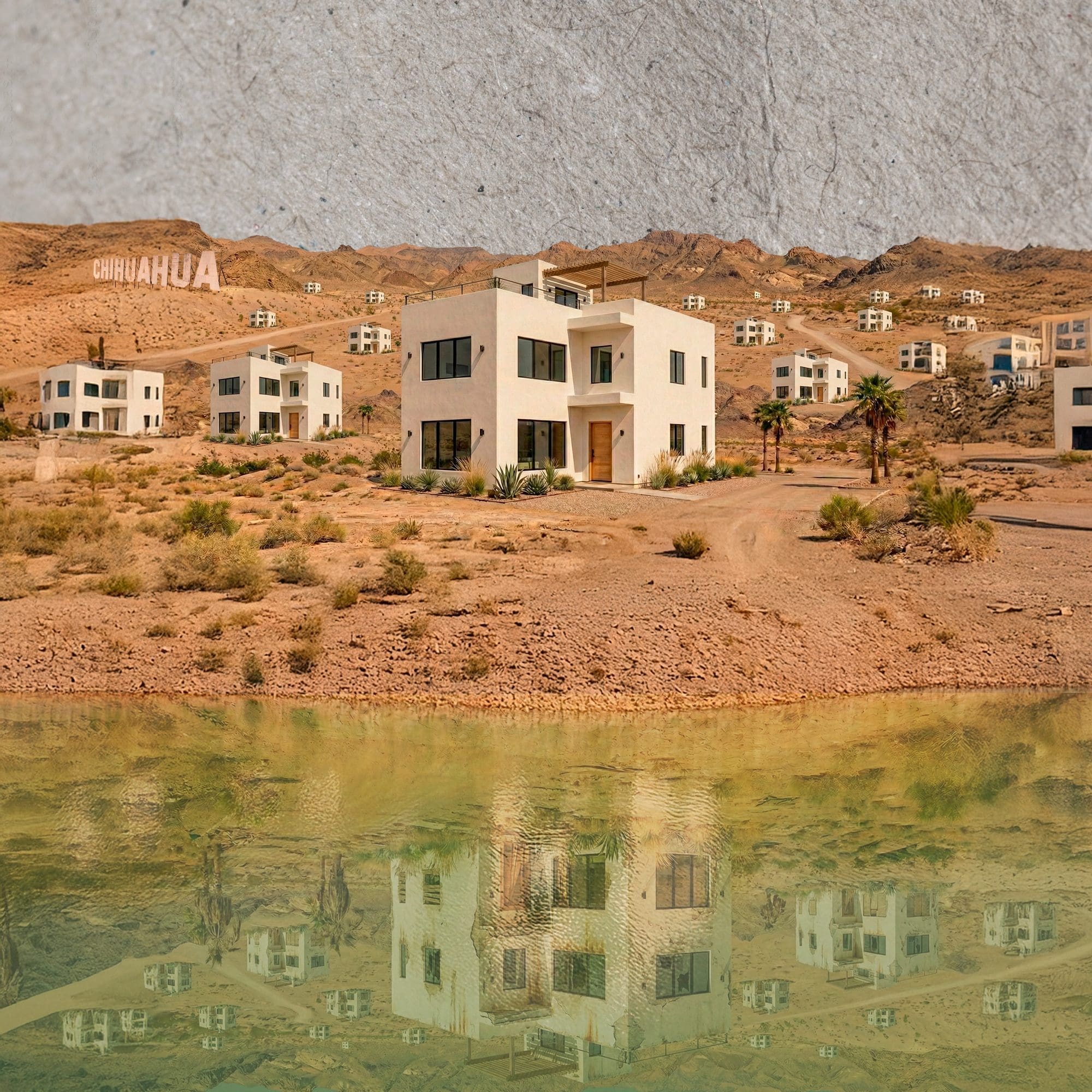  Chihuahua vertical: aparentar hacia arriba