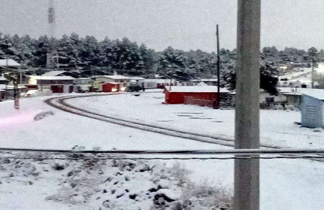 Se viste de blanco Chihuahua