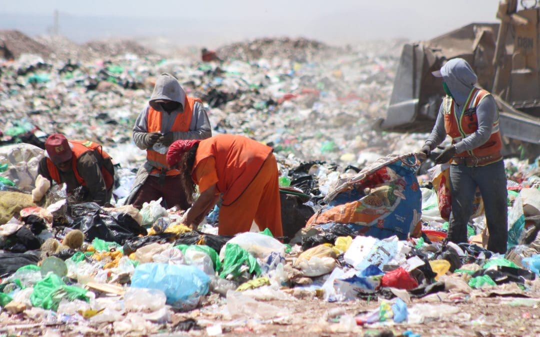 Explica la Uach que son los bioplásticos