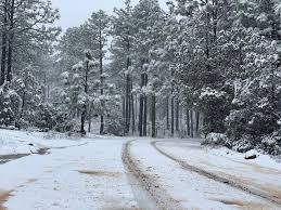 Alertan por paso de segunda tormenta invernal este fin de semana en Chihuahua