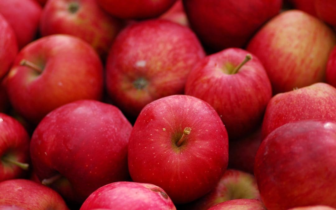 Antioxidantes de la manzana disminuyen los riesgos de cancer de colon