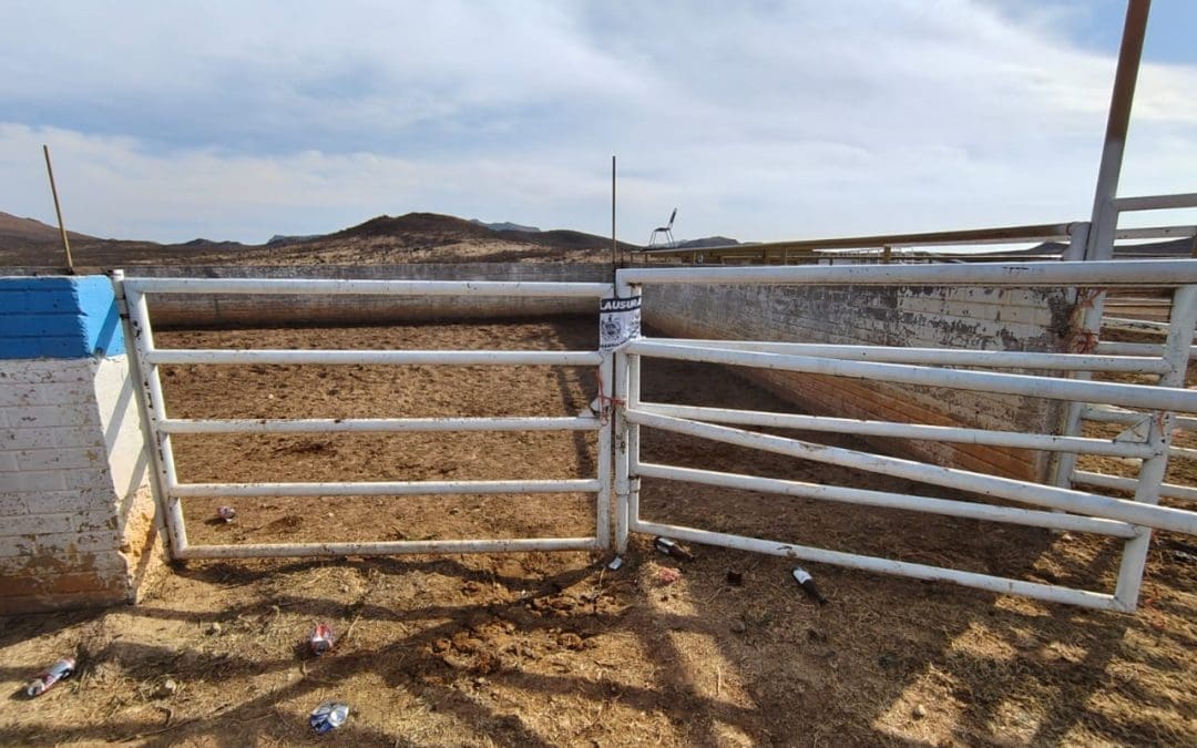 Emiten 5 clausuras tras más de 200 inspecciones en la última semana