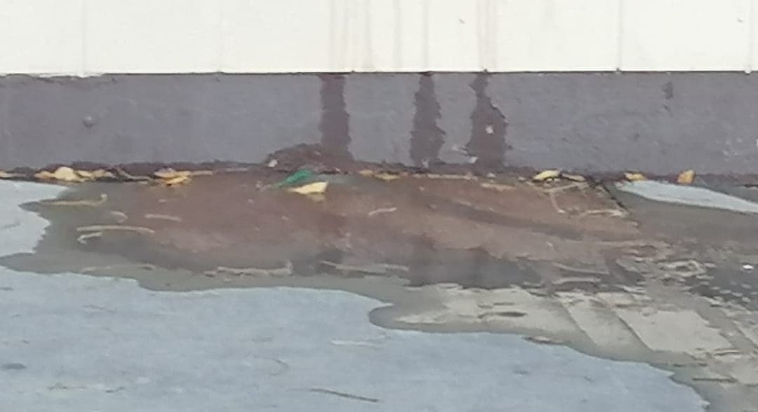 Fuga de agua genera encharcamiento en avenida Cuauhtémoc