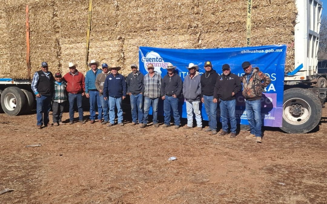 Distribuye Desarrollo Rural 15 mil pacas de forraje para productores pecuarios en enero
