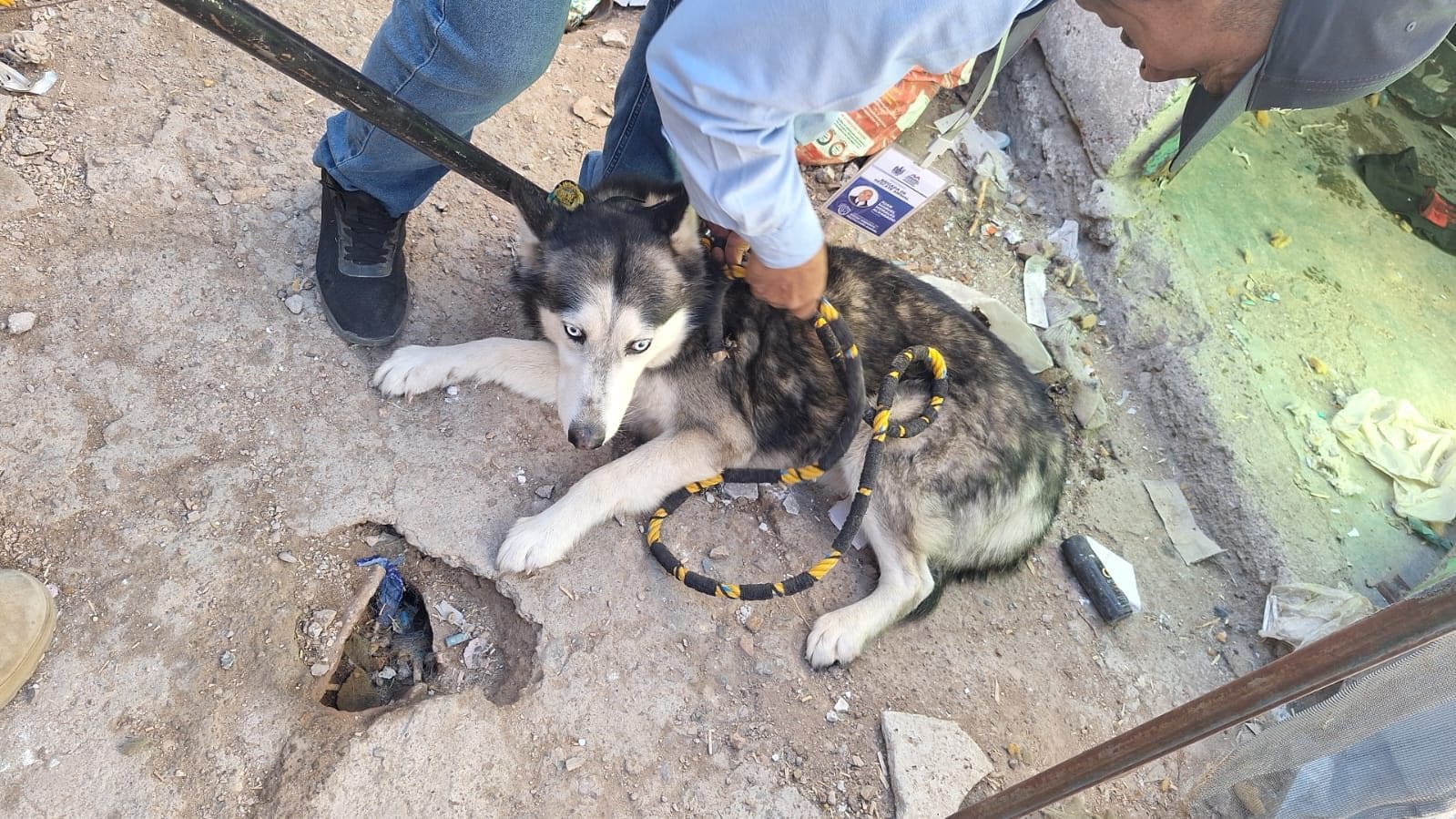 WhatsApp Image 2026-01-16 at 6.20.03 PM