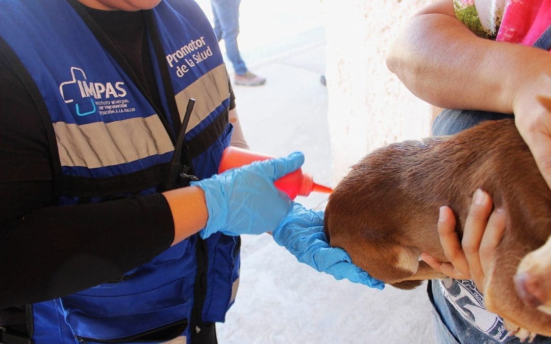 Llevarán “Megapatio de mi Casa” a la Alfredo Chávez y Campesina Nueva