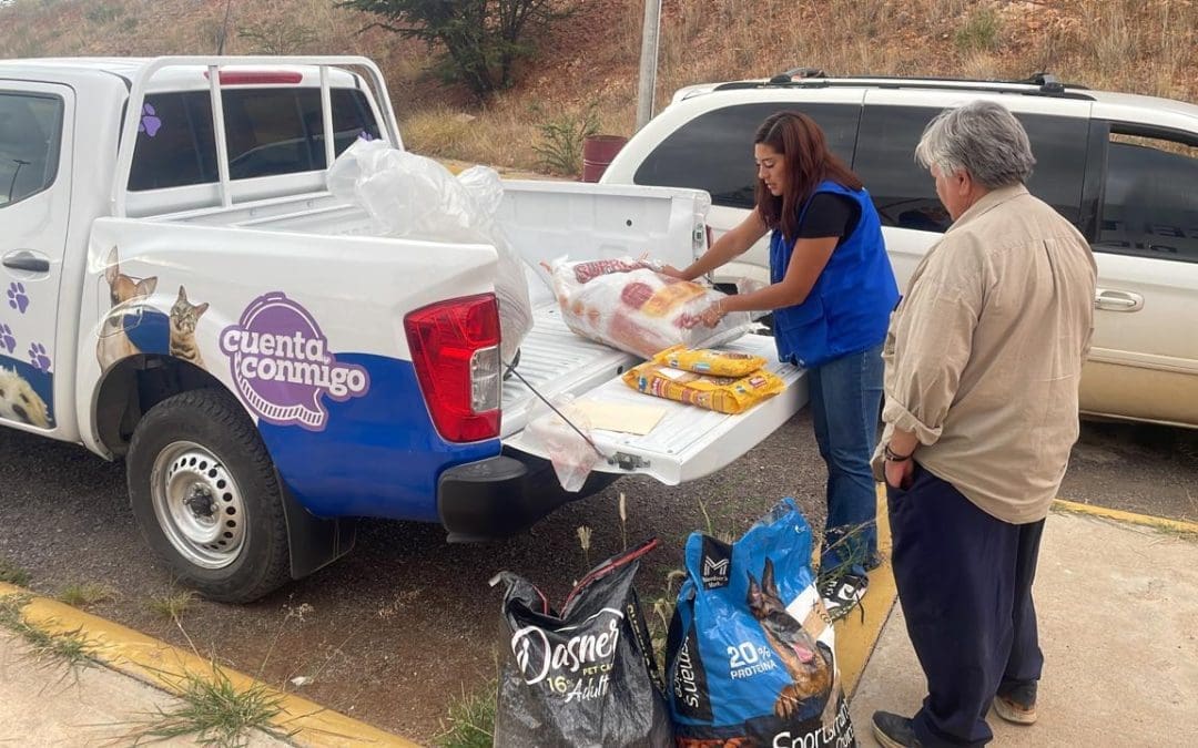 Apoya Desarrollo Humano a refugio animal de Parral con alimento para mascotas