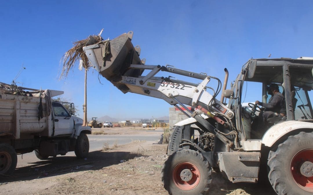 Retiran más de 900 toneladas de basura y escombro de terrenos baldíos en enero