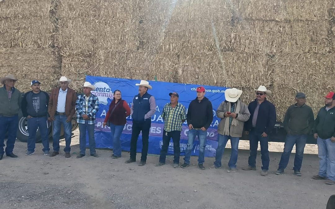 Inicia Desarrollo Rural la entrega de pacas de esquilmos a productores del estado 
