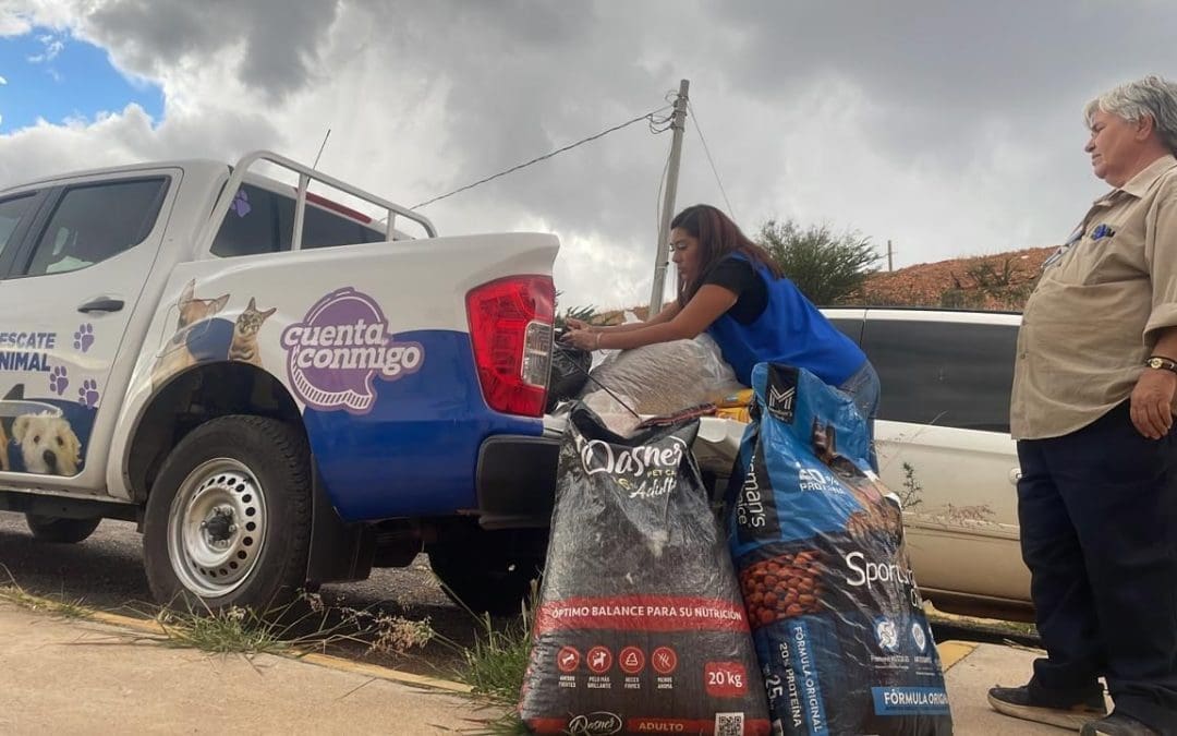 Reparte Desarrollo Humano 975 kilos de alimento para mascotas a refugios 