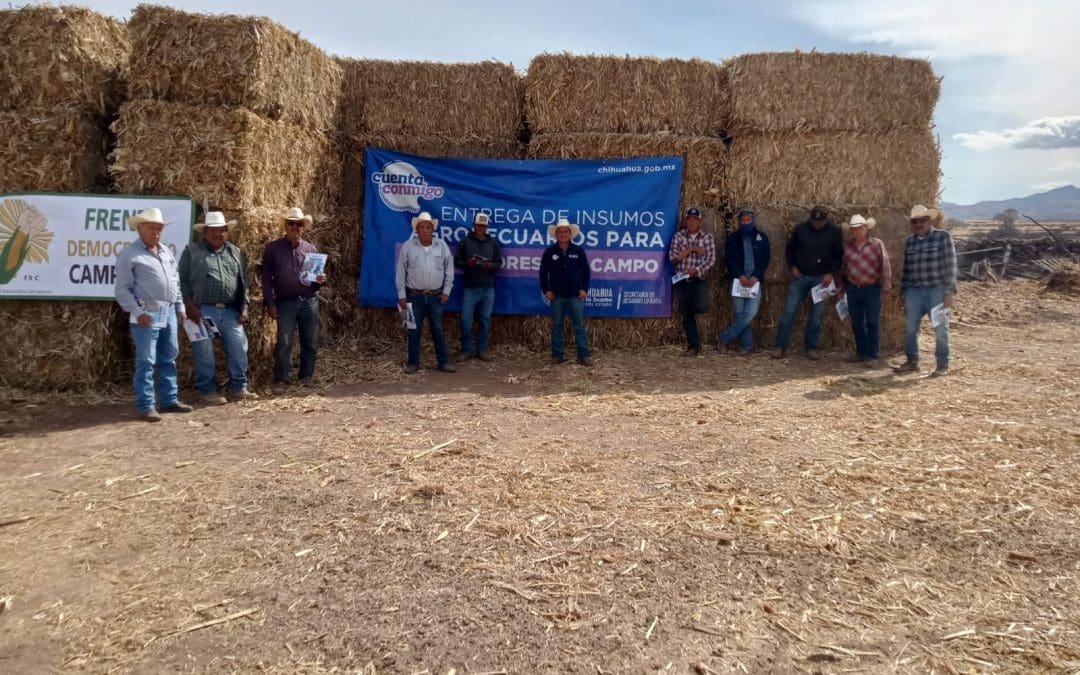 Arranca entrega de pacas para 10 mil productores en el estado 