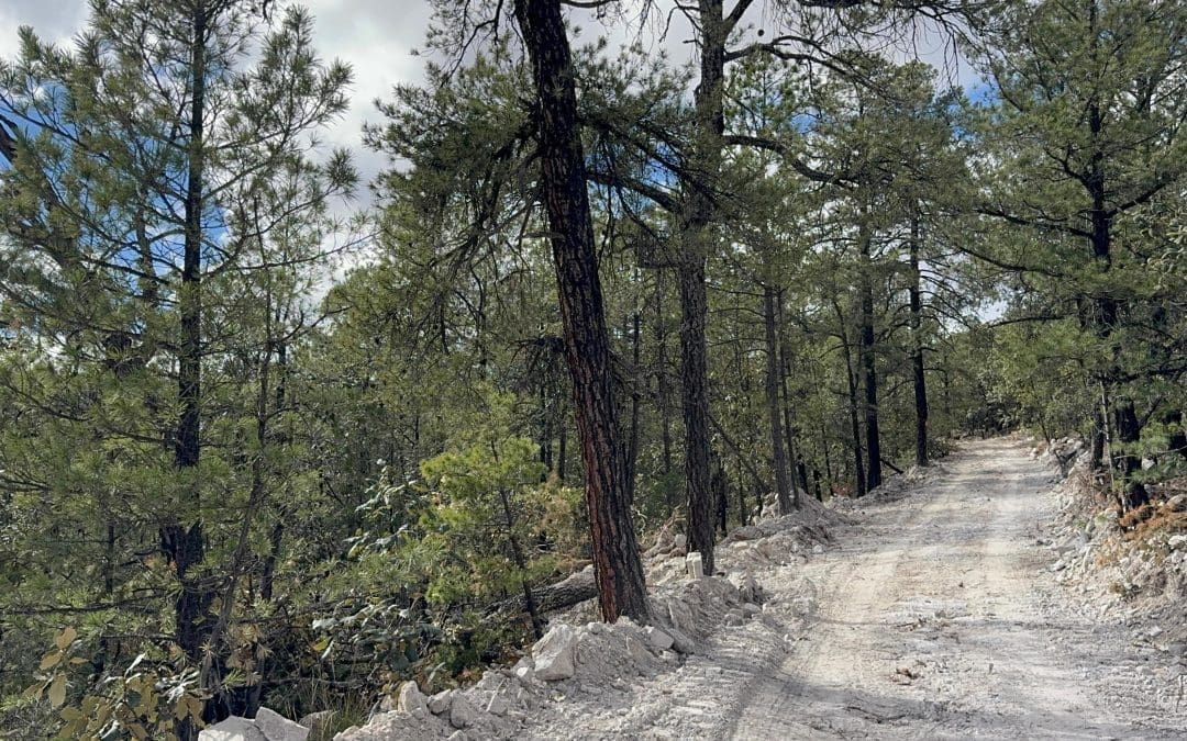 Rehabilitan caminos en el Rancho Experimental Teseachi-UACH