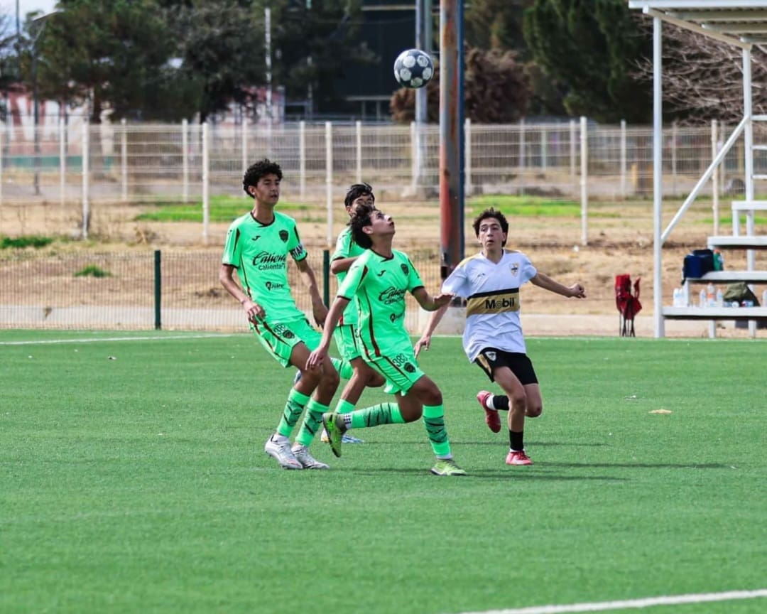 Screenshot_20260211_132242_WhatsApp