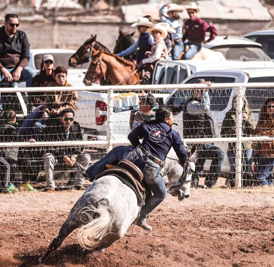 Screenshot_20260217_123746_WhatsApp