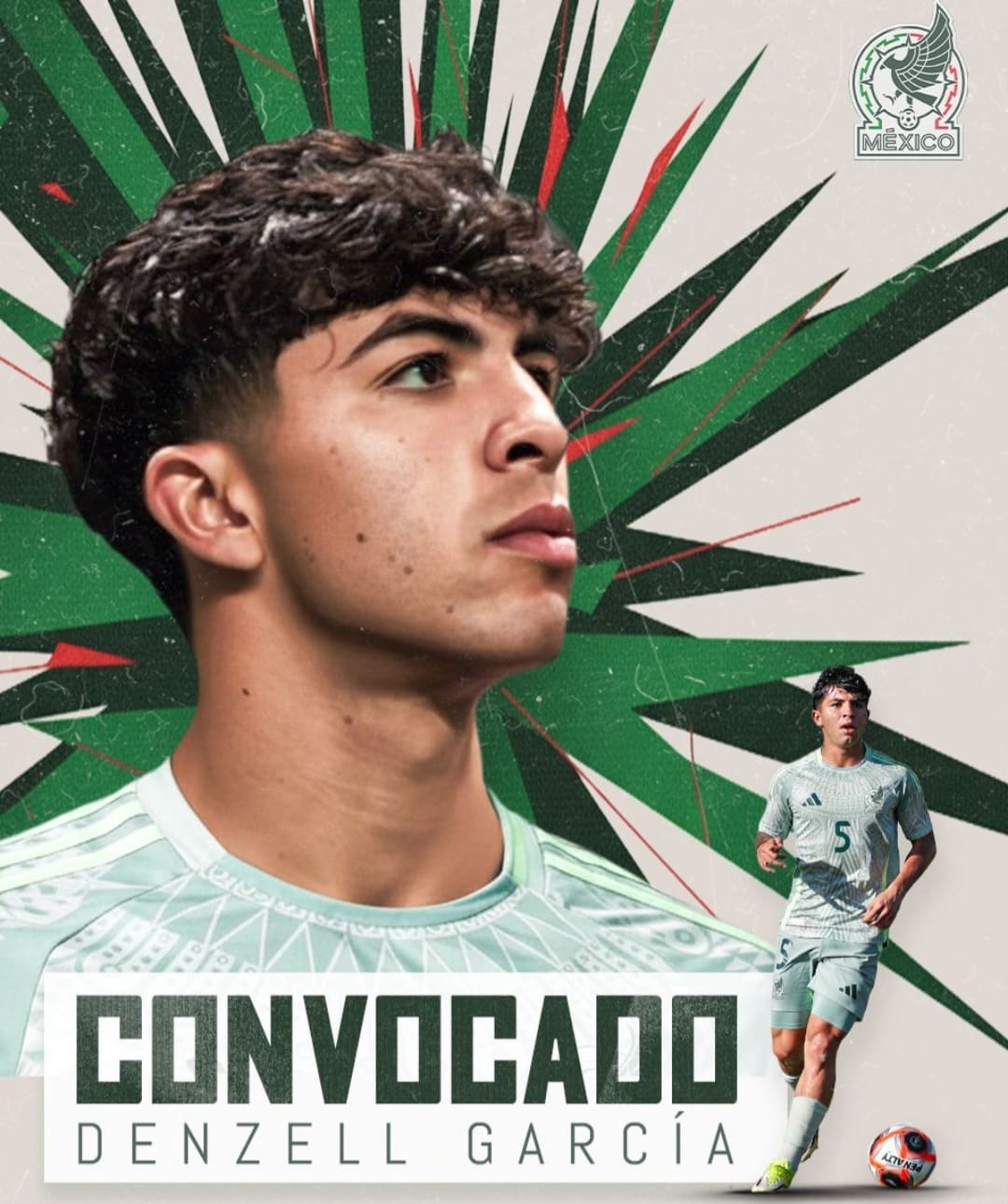 Screenshot_20260220_121551_WhatsApp