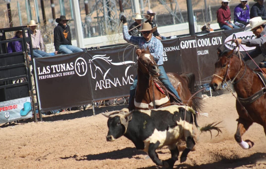 Screenshot_20260224_180145_WhatsApp