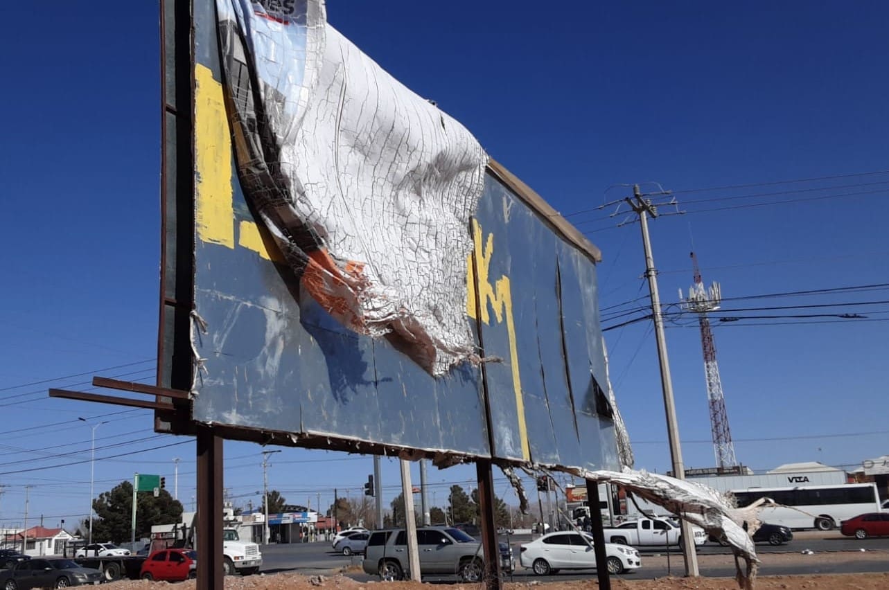 WhatsApp Image 2026-02-10 at 11.16.08 AM