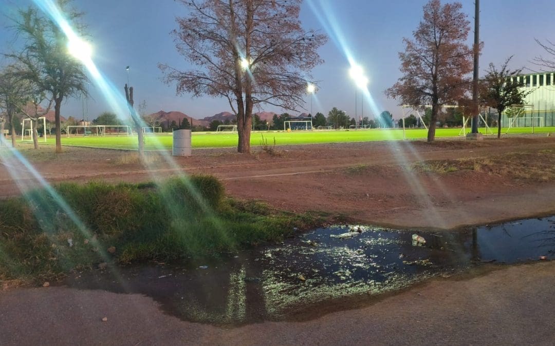 Denuncian abandono y árboles secos en la Deportiva Sur