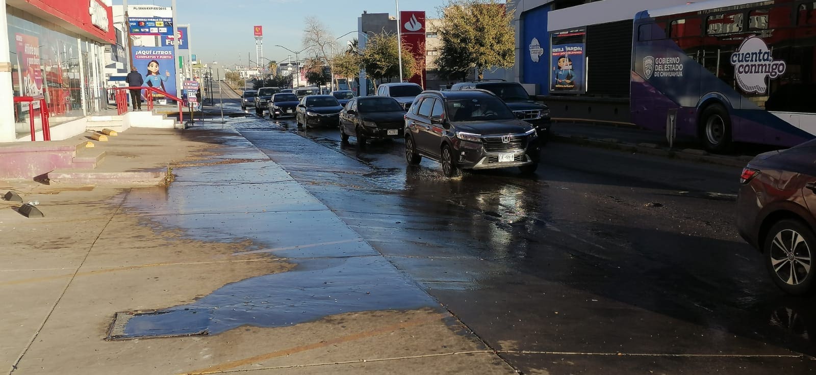 WhatsApp Image 2026-02-16 at 9.09.37 AM (1)