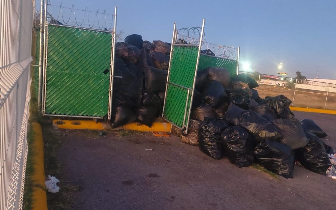 Vecinos denuncian abandono en la Deportiva Sur; basura y árboles secos preocupan a familias