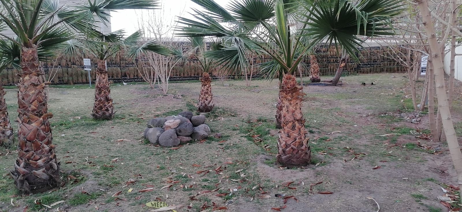 WhatsApp Image 2026-02-24 at 8.08.20 AM