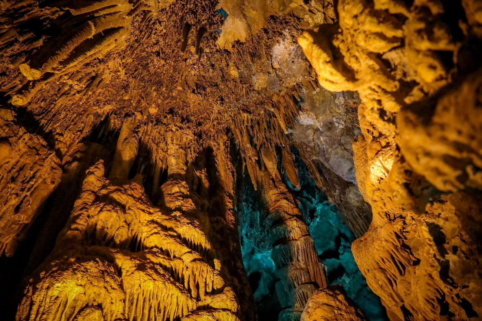 WhatsApp Image 2026-02-28 at 10.22.08 AM