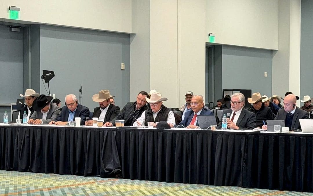 Chihuahua presenta estrategia contra el gusano barrenador en reunión binacional